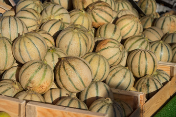 Melon on sale in the market of Sanary sur Mer, France