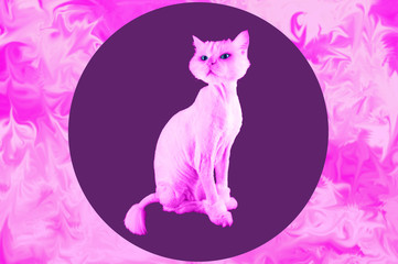 Pink cat. Retro wave synth vaporwave portrait of a funny cat. Contemporary art collage.