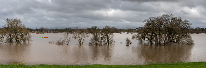 Panorama of Flooding of the Laguna de Santa Rosa near Sebastopol, CA, USA.