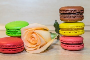 a rose with colorful macaroni cookies selective focus