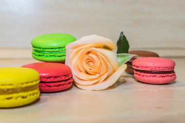a rose with colorful macaroni cookies selective focus
