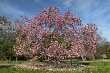 Gardens of Castrelos