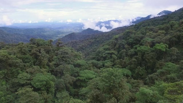 Breathtaking aerial shot of endless jungle and mountains in Ecuador