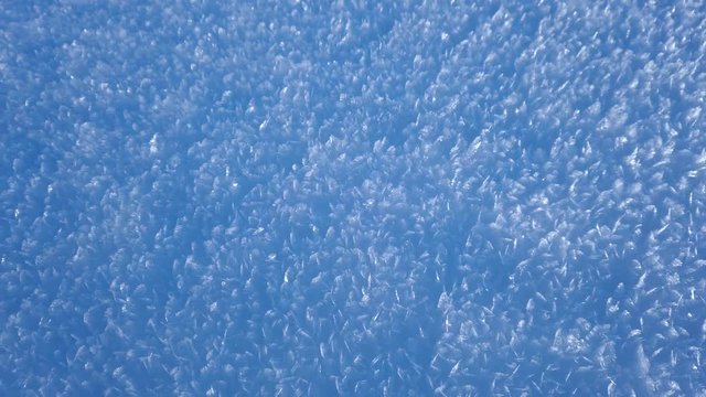 Snow crystals in the sun