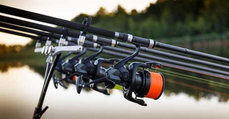 Carp fishing rods
