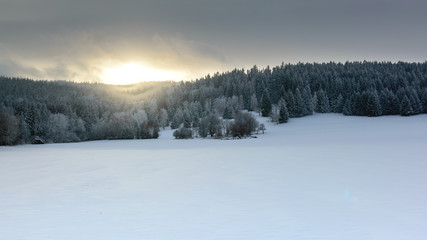 Polish Winter landscape in the mountains, snowy trees and fields.