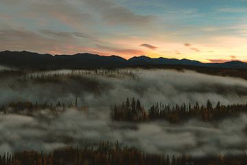 Foggy Morning mist Yukon