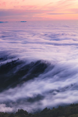 Obraz premium Fog Flow 