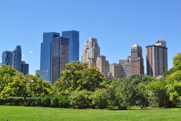 Fototapeta premium Tall Buildings Seen from Central Park, New York City, USA