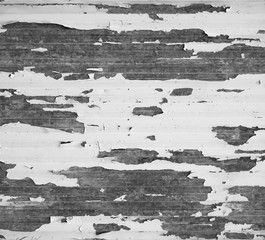 Old corrugated metal with peeling paint. Black and white, high contrast image.