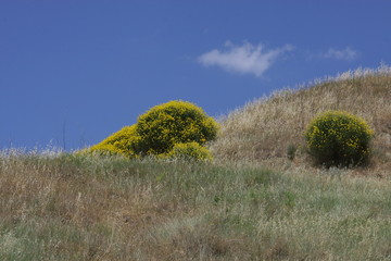 Obraz premium toscana