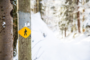Hiking trail in the winter. Frozen and snowy temperatures.
