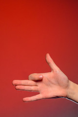 Human hand, isolated on a red background showing the dog's sign, symbolizing the friendship of the animal and man