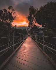 Fototapeta premium Suspension bridge at sunset
