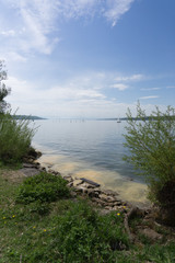Gelbe Blütenpollen im Wasser am Starnberger See