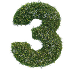 Grass and flower numbers