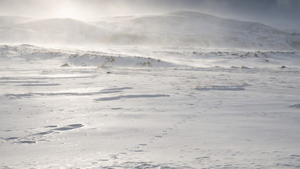 Winter, Iceland, Europe