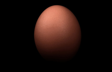The Perfect Brown Egg