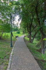 A pathway between green trees at Parque Sarmiento, Cordoba, Argentina