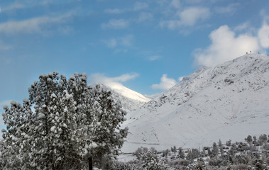 February Snow, Sierra Nevada