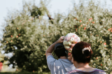 couple picking apples