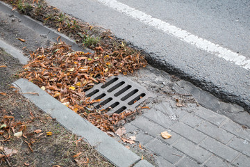 sewage sump in the leaves