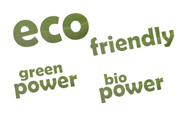 Collection of the keywords eco friendly, green power and bio power cut out of a green leaf