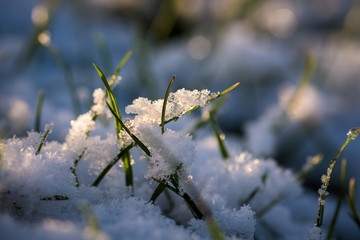 Snow and ice on the grass in close up