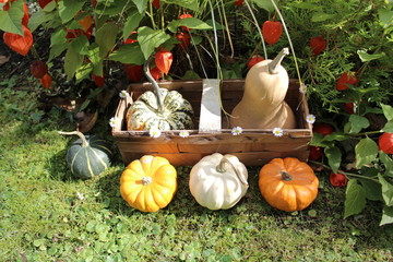 Gartendekoration mit Kürbissen