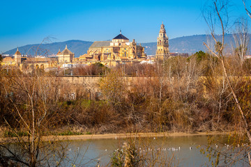 Old Mezquita Cathedral of Cordoba city above Guadalquivir river in Andalusia, Spain