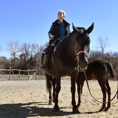 Horse riding therapy for senior people. Woman over 50 years of age on a horseback. Black mare with little colt.  Sunny day in the stables