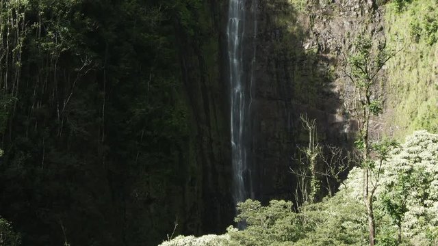 Aerial, Waimoku Falls in Hawaiian forest