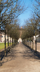 Schloss, Favorite, Rastatt, Förch, öffentlich, bauwerk, palast, europa, orientierungspunkt, historisch, geschichte, alt, museum,  stadt, fremdenverkehr, Tourismus, Touristen, Park, barock, himmel,  fü