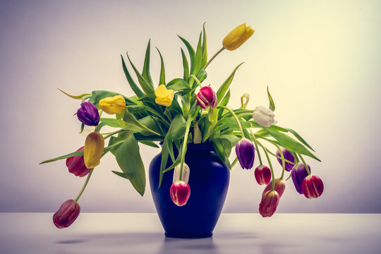 bouquet de tulipe multicolore dans un vase bleu