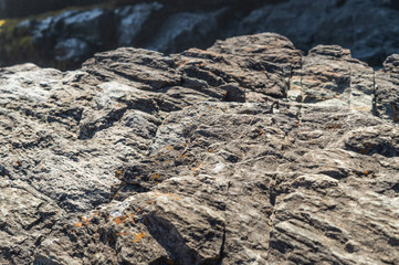 stones on beach 015