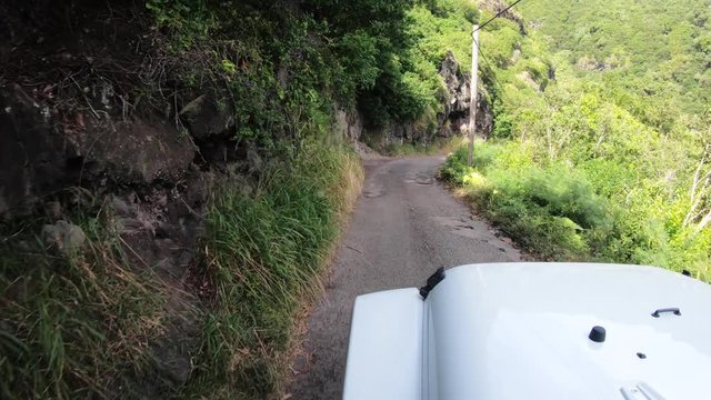 Scenic drive through the forest in Maui, Hawaii