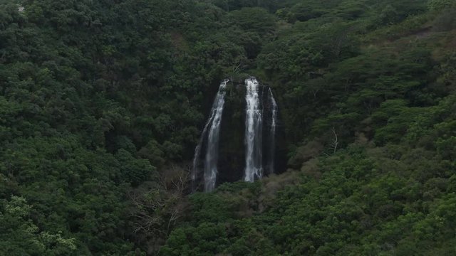 Opakeaa Falls at Wailua River State Park in Hawaii, aerial view