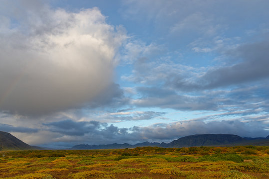 herbstliche Landschaft bei Pingvellir, Island