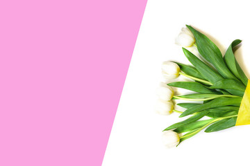 Spring white tulips flowers on white and pink background. Happy Easter card. Concept of gift for Valentine's day, birthday, 8 March, mother day. Flat lay, top view, copy space.