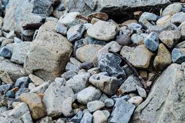 stones on beach 006