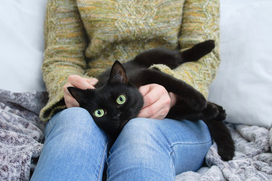Black cat lies in the hands of the girl. At home on sofa.