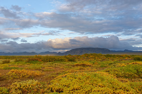 herbstliche Landschaft bei Pingvellir, Island
