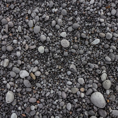 Fototapeta na wymiar Medium size wet beach stones of volcanic origin with a variety of rounded shapes and gray colors as a background texture