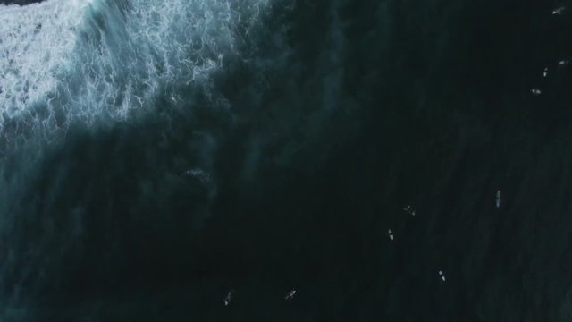 Overhead aerial, surfers in water at Honokahua Bay, Hawaii