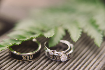 Botanic bridal chic. Wedding rings and engagement ring on wooden background with greenery and fern...