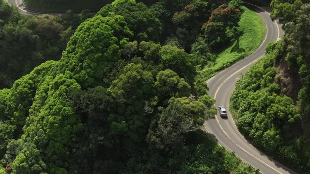 Cars drive through woods on the Road to Hana in Hawaii, aerial