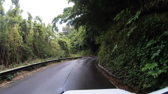 POV, driving through Hawaiian forest on the Road to Hana