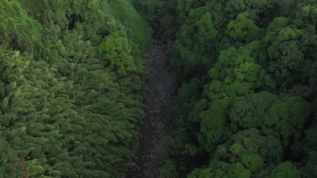 Overhead aerial, water cuts through forest in Hawaiian national park