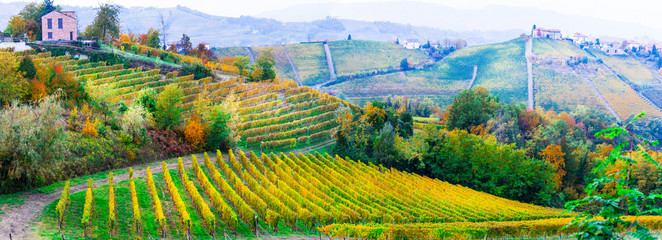 Beautiful vineyards of Piedmont and small villages , northen Italy