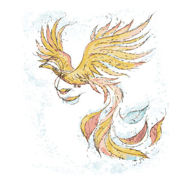 Phoenix vector illustration